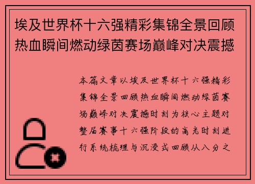 埃及世界杯十六强精彩集锦全景回顾热血瞬间燃动绿茵赛场巅峰对决震撼时刻